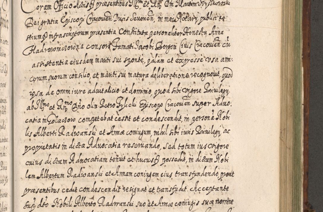 Zdjęcie nr 818 dla obiektu archiwalnego: Acta actorum, causarum spiritualium, civilium, criminalium, obligationum, quietationum, inscpritionum, cessionum, decimarum, testamentorum R. D. Martini Szyszkowski, episcopi Cracoviensis, ducis Severiensis in annis 1620 - 1623. Tomus secundus.