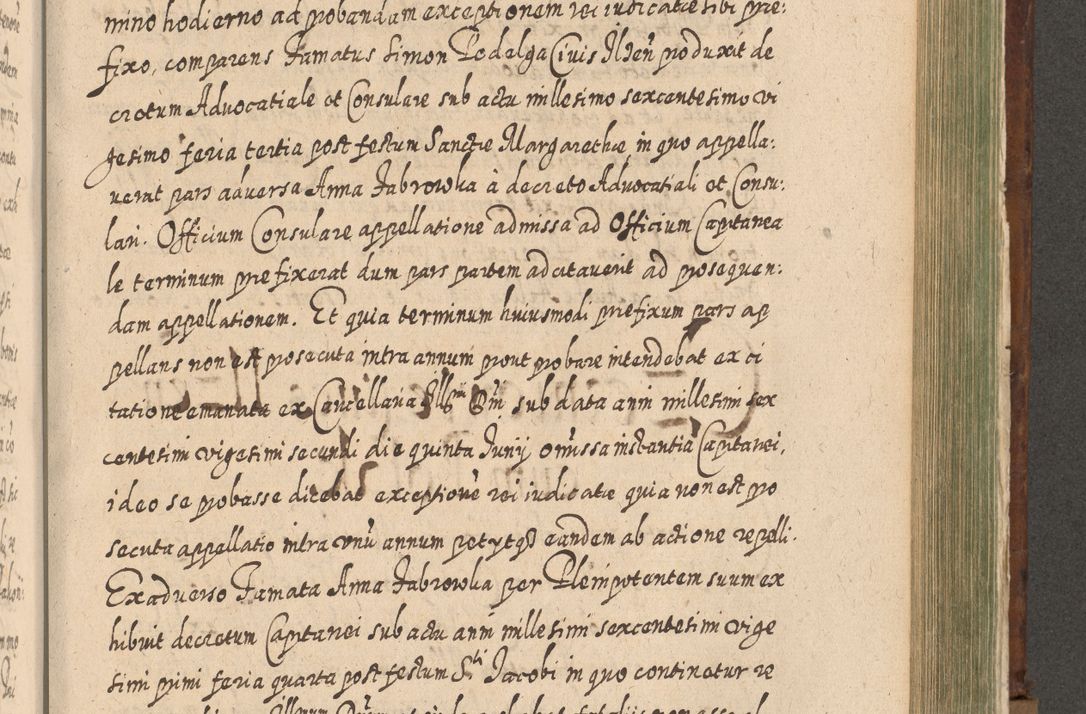 Zdjęcie nr 1178 dla obiektu archiwalnego: Acta actorum, causarum spiritualium, civilium, criminalium, obligationum, quietationum, inscpritionum, cessionum, decimarum, testamentorum R. D. Martini Szyszkowski, episcopi Cracoviensis, ducis Severiensis in annis 1620 - 1623. Tomus secundus.