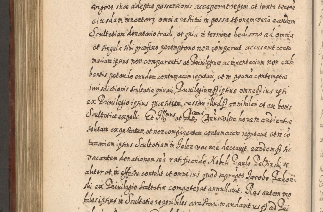 Zdjęcie nr 1177 dla obiektu archiwalnego: Acta actorum, causarum spiritualium, civilium, criminalium, obligationum, quietationum, inscpritionum, cessionum, decimarum, testamentorum R. D. Martini Szyszkowski, episcopi Cracoviensis, ducis Severiensis in annis 1620 - 1623. Tomus secundus.
