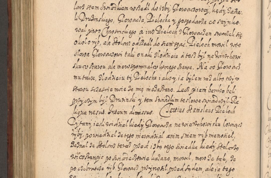 Zdjęcie nr 1169 dla obiektu archiwalnego: Acta actorum, causarum spiritualium, civilium, criminalium, obligationum, quietationum, inscpritionum, cessionum, decimarum, testamentorum R. D. Martini Szyszkowski, episcopi Cracoviensis, ducis Severiensis in annis 1620 - 1623. Tomus secundus.