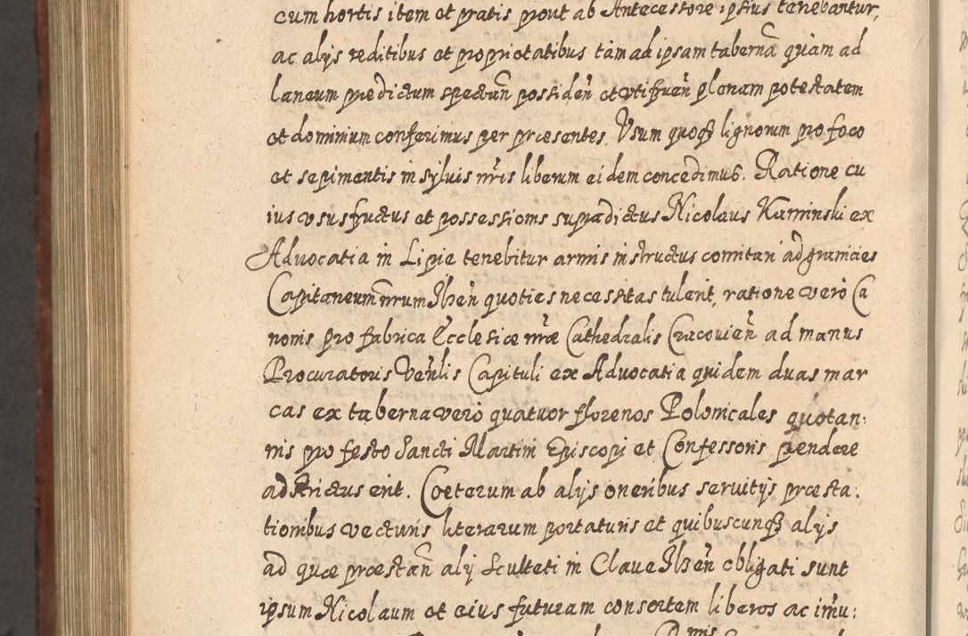 Zdjęcie nr 1151 dla obiektu archiwalnego: Acta actorum, causarum spiritualium, civilium, criminalium, obligationum, quietationum, inscpritionum, cessionum, decimarum, testamentorum R. D. Martini Szyszkowski, episcopi Cracoviensis, ducis Severiensis in annis 1620 - 1623. Tomus secundus.