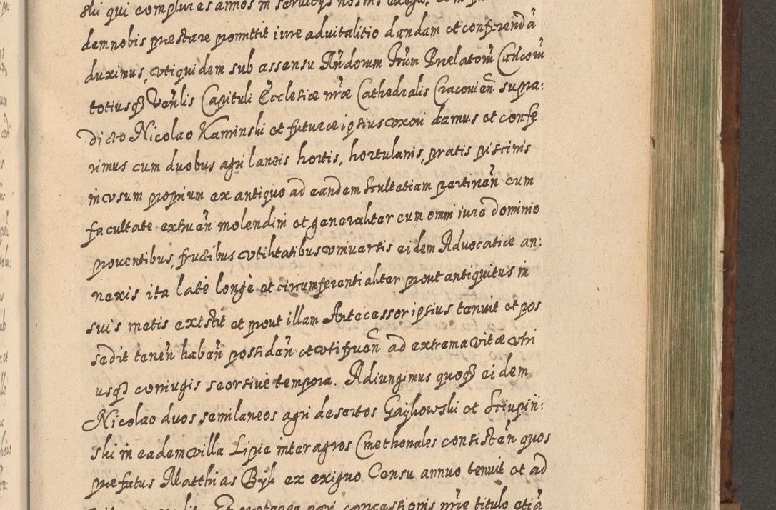 Zdjęcie nr 1150 dla obiektu archiwalnego: Acta actorum, causarum spiritualium, civilium, criminalium, obligationum, quietationum, inscpritionum, cessionum, decimarum, testamentorum R. D. Martini Szyszkowski, episcopi Cracoviensis, ducis Severiensis in annis 1620 - 1623. Tomus secundus.