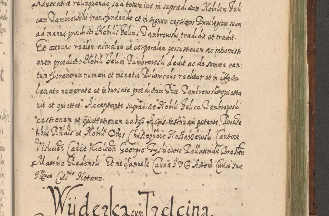 Zdjęcie nr 1070 dla obiektu archiwalnego: Acta actorum, causarum spiritualium, civilium, criminalium, obligationum, quietationum, inscpritionum, cessionum, decimarum, testamentorum R. D. Martini Szyszkowski, episcopi Cracoviensis, ducis Severiensis in annis 1620 - 1623. Tomus secundus.