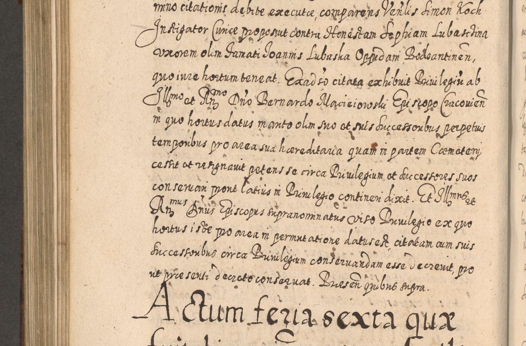 Zdjęcie nr 1037 dla obiektu archiwalnego: Acta actorum, causarum spiritualium, civilium, criminalium, obligationum, quietationum, inscpritionum, cessionum, decimarum, testamentorum R. D. Martini Szyszkowski, episcopi Cracoviensis, ducis Severiensis in annis 1620 - 1623. Tomus secundus.