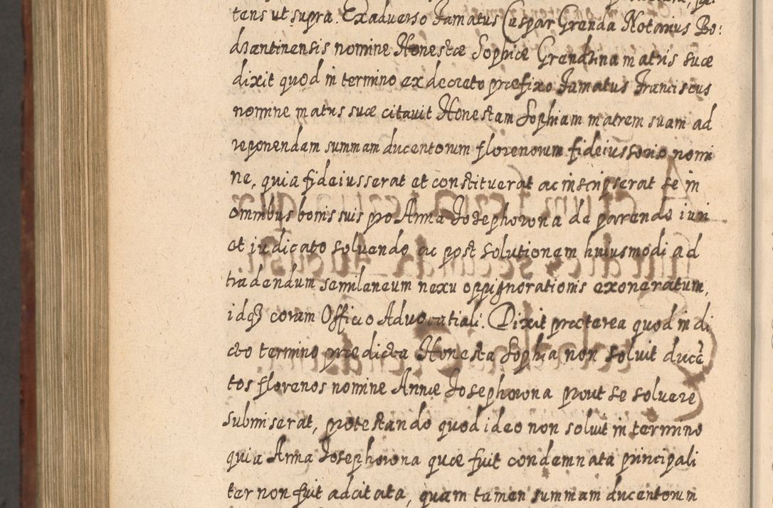 Zdjęcie nr 1229 dla obiektu archiwalnego: Acta actorum, causarum spiritualium, civilium, criminalium, obligationum, quietationum, inscpritionum, cessionum, decimarum, testamentorum R. D. Martini Szyszkowski, episcopi Cracoviensis, ducis Severiensis in annis 1620 - 1623. Tomus secundus.