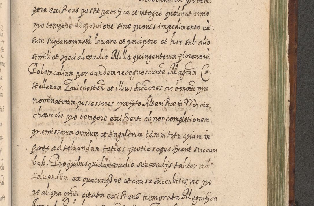 Zdjęcie nr 1374 dla obiektu archiwalnego: Acta actorum, causarum spiritualium, civilium, criminalium, obligationum, quietationum, inscpritionum, cessionum, decimarum, testamentorum R. D. Martini Szyszkowski, episcopi Cracoviensis, ducis Severiensis in annis 1620 - 1623. Tomus secundus.