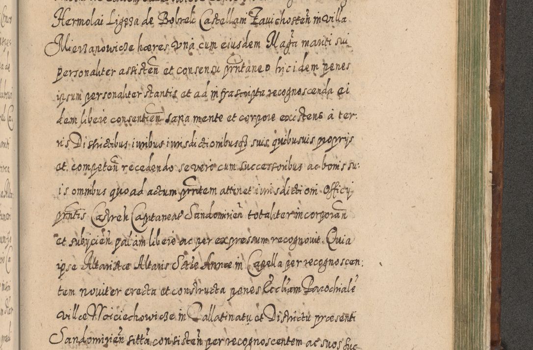 Zdjęcie nr 1370 dla obiektu archiwalnego: Acta actorum, causarum spiritualium, civilium, criminalium, obligationum, quietationum, inscpritionum, cessionum, decimarum, testamentorum R. D. Martini Szyszkowski, episcopi Cracoviensis, ducis Severiensis in annis 1620 - 1623. Tomus secundus.