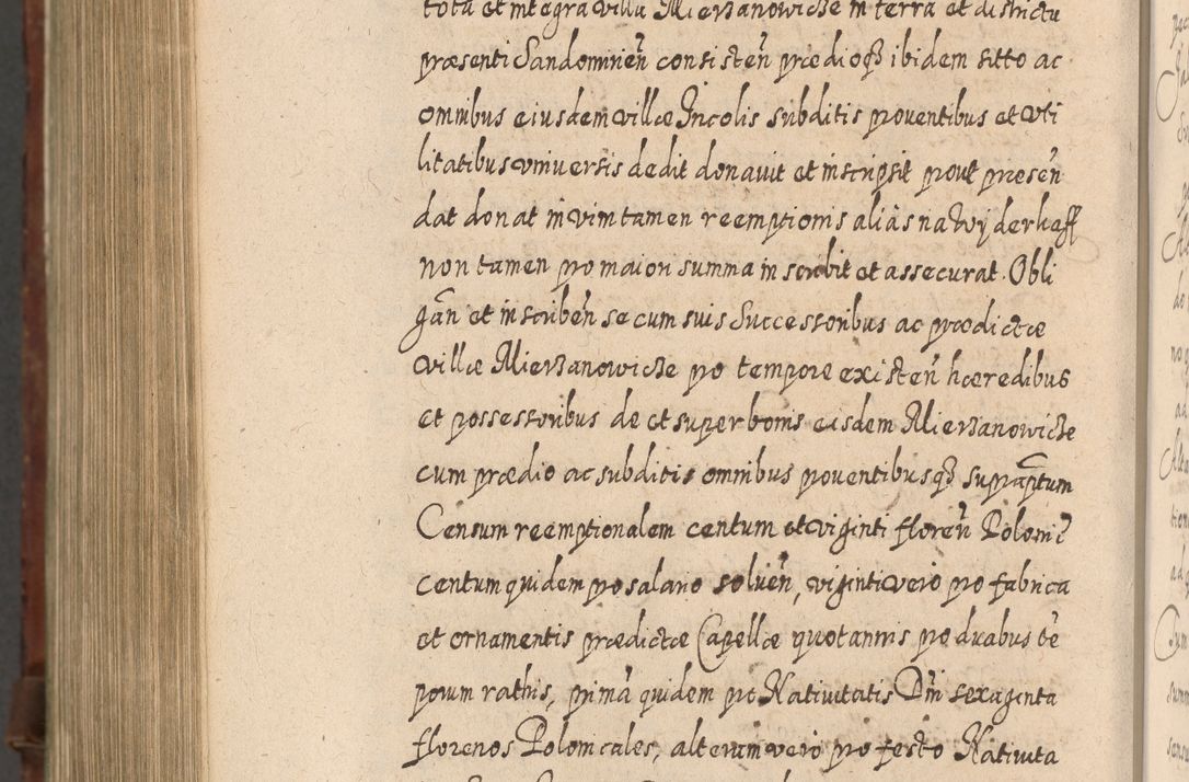 Zdjęcie nr 1371 dla obiektu archiwalnego: Acta actorum, causarum spiritualium, civilium, criminalium, obligationum, quietationum, inscpritionum, cessionum, decimarum, testamentorum R. D. Martini Szyszkowski, episcopi Cracoviensis, ducis Severiensis in annis 1620 - 1623. Tomus secundus.