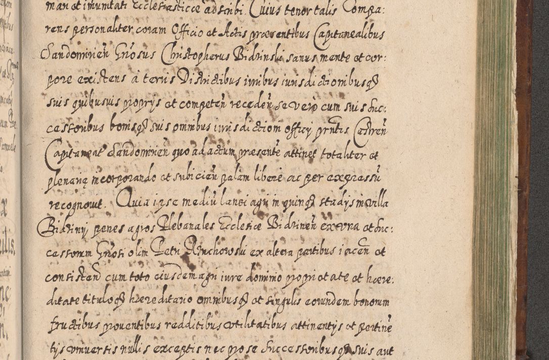 Zdjęcie nr 1338 dla obiektu archiwalnego: Acta actorum, causarum spiritualium, civilium, criminalium, obligationum, quietationum, inscpritionum, cessionum, decimarum, testamentorum R. D. Martini Szyszkowski, episcopi Cracoviensis, ducis Severiensis in annis 1620 - 1623. Tomus secundus.