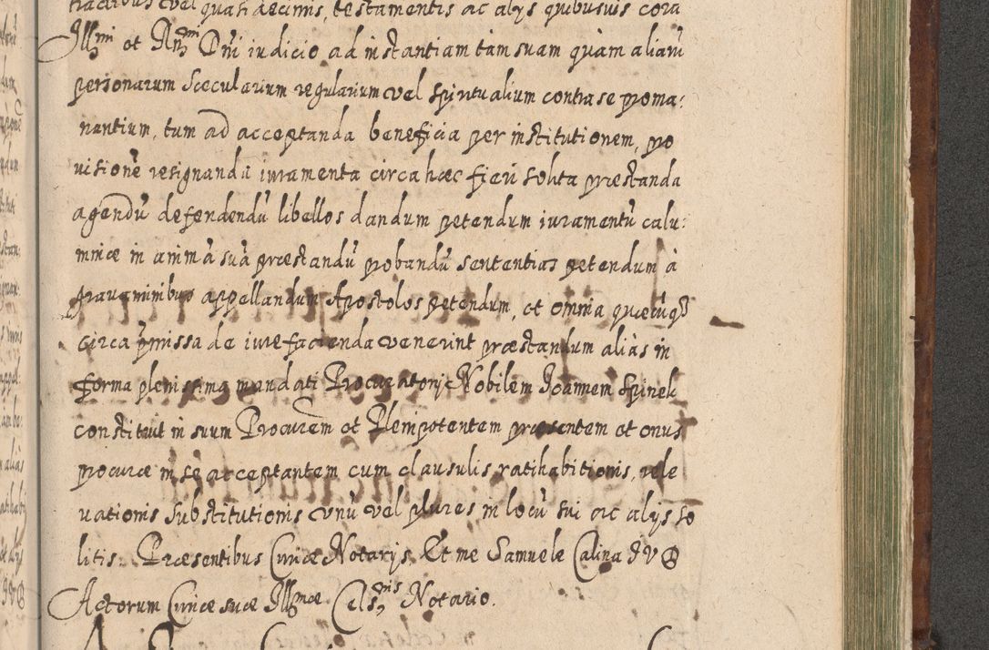 Zdjęcie nr 1334 dla obiektu archiwalnego: Acta actorum, causarum spiritualium, civilium, criminalium, obligationum, quietationum, inscpritionum, cessionum, decimarum, testamentorum R. D. Martini Szyszkowski, episcopi Cracoviensis, ducis Severiensis in annis 1620 - 1623. Tomus secundus.