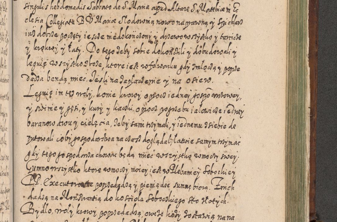 Zdjęcie nr 1322 dla obiektu archiwalnego: Acta actorum, causarum spiritualium, civilium, criminalium, obligationum, quietationum, inscpritionum, cessionum, decimarum, testamentorum R. D. Martini Szyszkowski, episcopi Cracoviensis, ducis Severiensis in annis 1620 - 1623. Tomus secundus.
