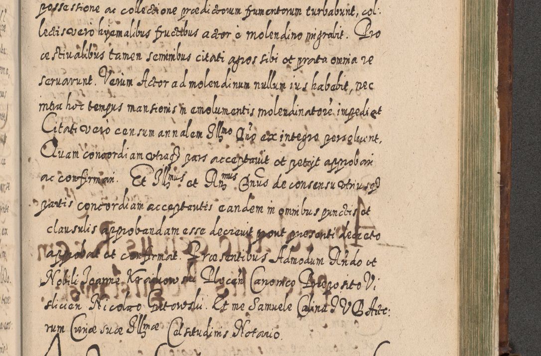 Zdjęcie nr 1310 dla obiektu archiwalnego: Acta actorum, causarum spiritualium, civilium, criminalium, obligationum, quietationum, inscpritionum, cessionum, decimarum, testamentorum R. D. Martini Szyszkowski, episcopi Cracoviensis, ducis Severiensis in annis 1620 - 1623. Tomus secundus.
