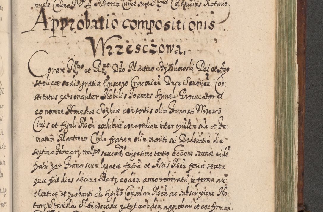 Zdjęcie nr 1308 dla obiektu archiwalnego: Acta actorum, causarum spiritualium, civilium, criminalium, obligationum, quietationum, inscpritionum, cessionum, decimarum, testamentorum R. D. Martini Szyszkowski, episcopi Cracoviensis, ducis Severiensis in annis 1620 - 1623. Tomus secundus.