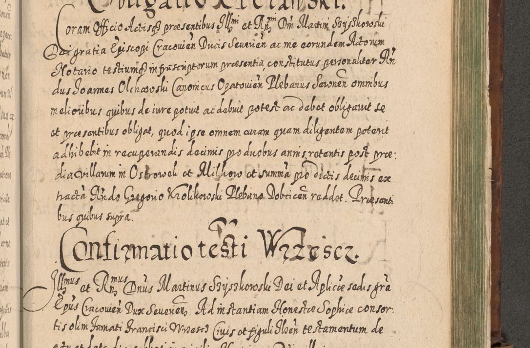 Zdjęcie nr 1288 dla obiektu archiwalnego: Acta actorum, causarum spiritualium, civilium, criminalium, obligationum, quietationum, inscpritionum, cessionum, decimarum, testamentorum R. D. Martini Szyszkowski, episcopi Cracoviensis, ducis Severiensis in annis 1620 - 1623. Tomus secundus.