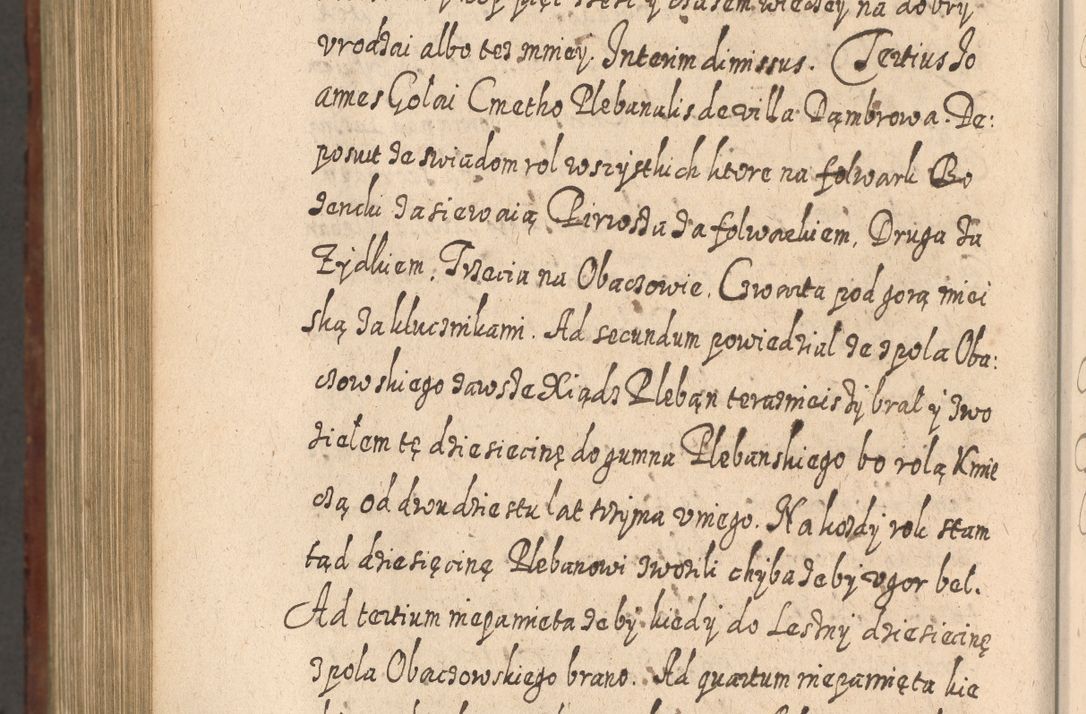 Zdjęcie nr 1249 dla obiektu archiwalnego: Acta actorum, causarum spiritualium, civilium, criminalium, obligationum, quietationum, inscpritionum, cessionum, decimarum, testamentorum R. D. Martini Szyszkowski, episcopi Cracoviensis, ducis Severiensis in annis 1620 - 1623. Tomus secundus.