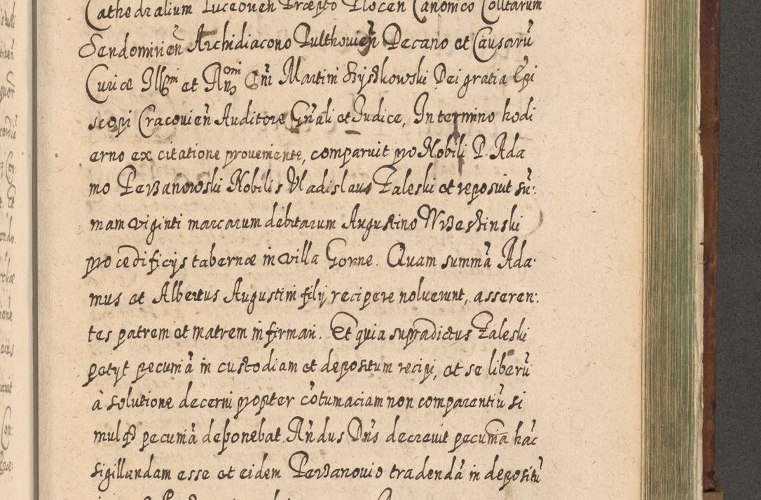 Zdjęcie nr 1242 dla obiektu archiwalnego: Acta actorum, causarum spiritualium, civilium, criminalium, obligationum, quietationum, inscpritionum, cessionum, decimarum, testamentorum R. D. Martini Szyszkowski, episcopi Cracoviensis, ducis Severiensis in annis 1620 - 1623. Tomus secundus.