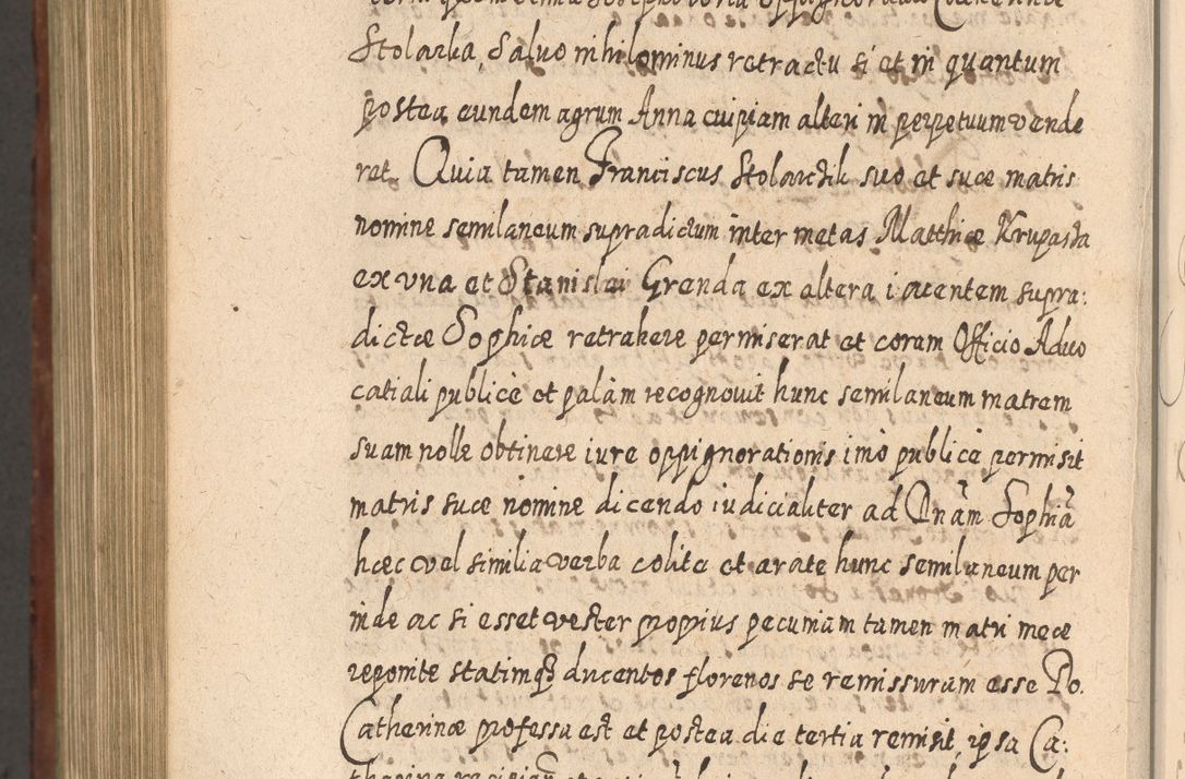 Zdjęcie nr 1231 dla obiektu archiwalnego: Acta actorum, causarum spiritualium, civilium, criminalium, obligationum, quietationum, inscpritionum, cessionum, decimarum, testamentorum R. D. Martini Szyszkowski, episcopi Cracoviensis, ducis Severiensis in annis 1620 - 1623. Tomus secundus.