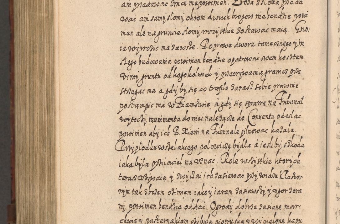Zdjęcie nr 1423 dla obiektu archiwalnego: Acta actorum, causarum spiritualium, civilium, criminalium, obligationum, quietationum, inscpritionum, cessionum, decimarum, testamentorum R. D. Martini Szyszkowski, episcopi Cracoviensis, ducis Severiensis in annis 1620 - 1623. Tomus secundus.
