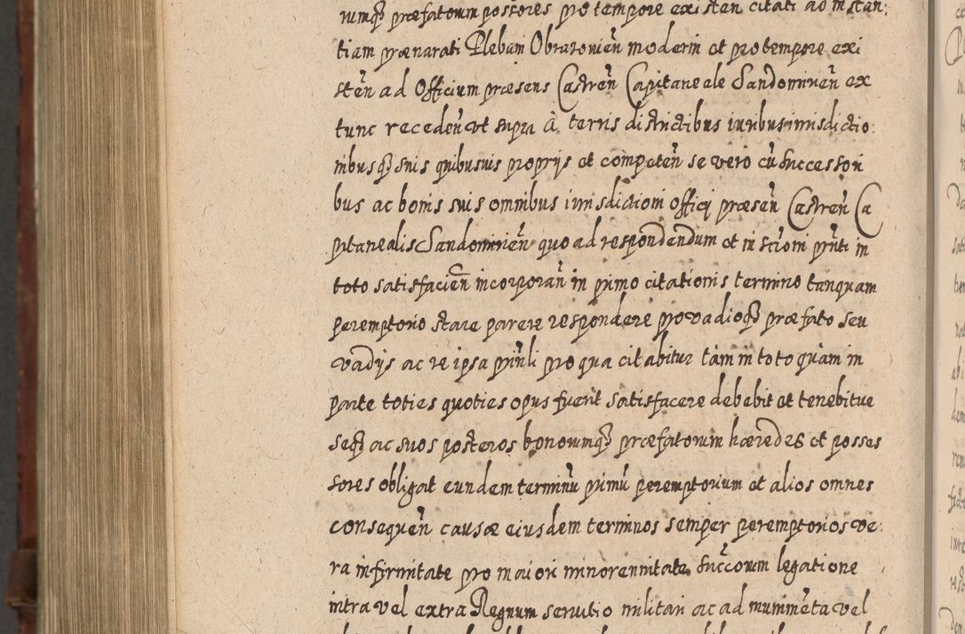 Zdjęcie nr 1387 dla obiektu archiwalnego: Acta actorum, causarum spiritualium, civilium, criminalium, obligationum, quietationum, inscpritionum, cessionum, decimarum, testamentorum R. D. Martini Szyszkowski, episcopi Cracoviensis, ducis Severiensis in annis 1620 - 1623. Tomus secundus.