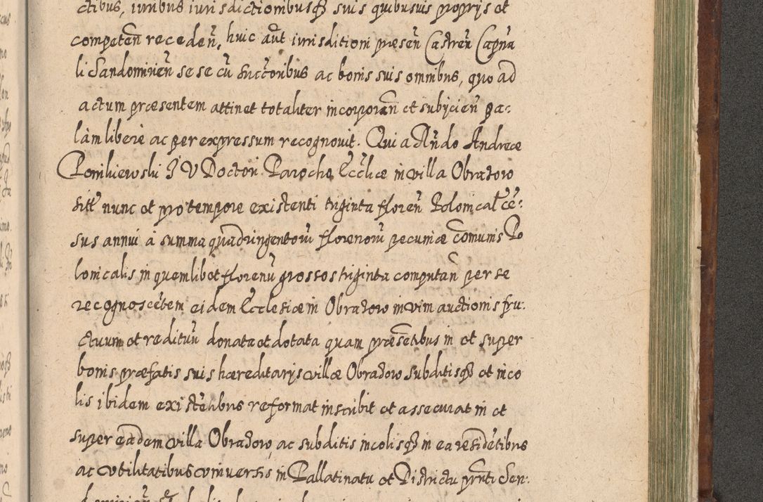 Zdjęcie nr 1384 dla obiektu archiwalnego: Acta actorum, causarum spiritualium, civilium, criminalium, obligationum, quietationum, inscpritionum, cessionum, decimarum, testamentorum R. D. Martini Szyszkowski, episcopi Cracoviensis, ducis Severiensis in annis 1620 - 1623. Tomus secundus.
