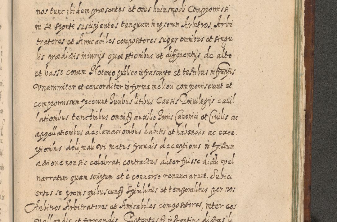 Zdjęcie nr 1582 dla obiektu archiwalnego: Acta actorum, causarum spiritualium, civilium, criminalium, obligationum, quietationum, inscpritionum, cessionum, decimarum, testamentorum R. D. Martini Szyszkowski, episcopi Cracoviensis, ducis Severiensis in annis 1620 - 1623. Tomus secundus.