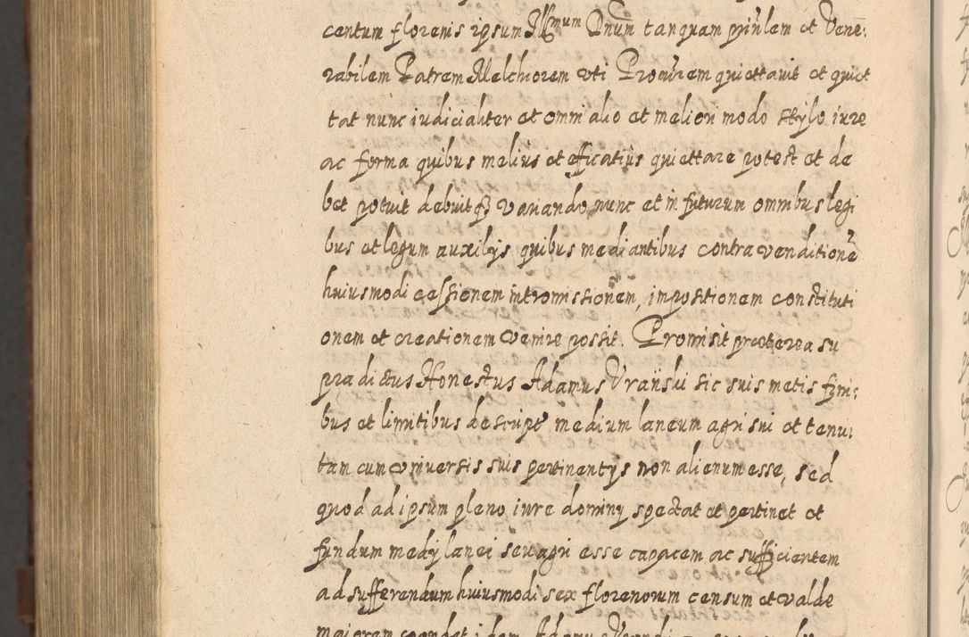 Zdjęcie nr 1573 dla obiektu archiwalnego: Acta actorum, causarum spiritualium, civilium, criminalium, obligationum, quietationum, inscpritionum, cessionum, decimarum, testamentorum R. D. Martini Szyszkowski, episcopi Cracoviensis, ducis Severiensis in annis 1620 - 1623. Tomus secundus.