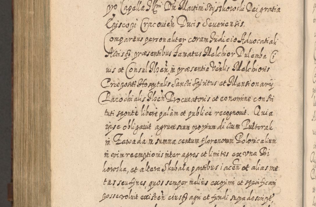 Zdjęcie nr 1563 dla obiektu archiwalnego: Acta actorum, causarum spiritualium, civilium, criminalium, obligationum, quietationum, inscpritionum, cessionum, decimarum, testamentorum R. D. Martini Szyszkowski, episcopi Cracoviensis, ducis Severiensis in annis 1620 - 1623. Tomus secundus.