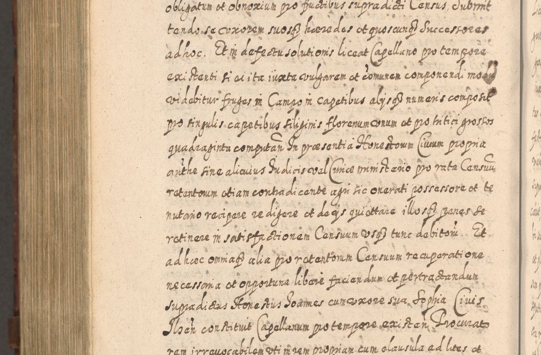Zdjęcie nr 1551 dla obiektu archiwalnego: Acta actorum, causarum spiritualium, civilium, criminalium, obligationum, quietationum, inscpritionum, cessionum, decimarum, testamentorum R. D. Martini Szyszkowski, episcopi Cracoviensis, ducis Severiensis in annis 1620 - 1623. Tomus secundus.