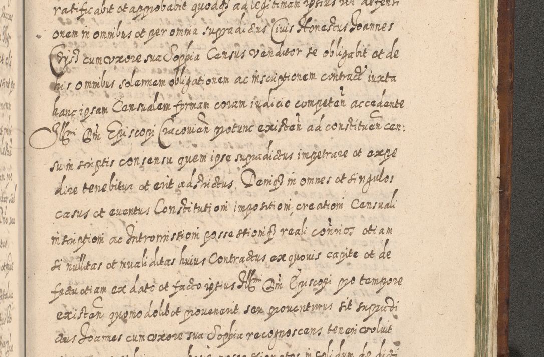 Zdjęcie nr 1550 dla obiektu archiwalnego: Acta actorum, causarum spiritualium, civilium, criminalium, obligationum, quietationum, inscpritionum, cessionum, decimarum, testamentorum R. D. Martini Szyszkowski, episcopi Cracoviensis, ducis Severiensis in annis 1620 - 1623. Tomus secundus.