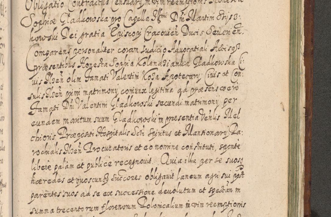 Zdjęcie nr 1516 dla obiektu archiwalnego: Acta actorum, causarum spiritualium, civilium, criminalium, obligationum, quietationum, inscpritionum, cessionum, decimarum, testamentorum R. D. Martini Szyszkowski, episcopi Cracoviensis, ducis Severiensis in annis 1620 - 1623. Tomus secundus.
