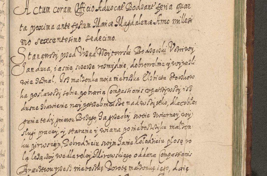 Zdjęcie nr 1506 dla obiektu archiwalnego: Acta actorum, causarum spiritualium, civilium, criminalium, obligationum, quietationum, inscpritionum, cessionum, decimarum, testamentorum R. D. Martini Szyszkowski, episcopi Cracoviensis, ducis Severiensis in annis 1620 - 1623. Tomus secundus.