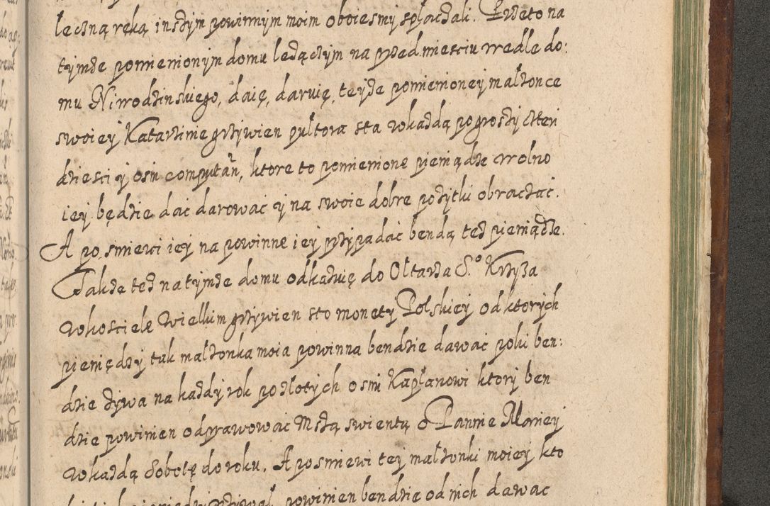 Zdjęcie nr 1504 dla obiektu archiwalnego: Acta actorum, causarum spiritualium, civilium, criminalium, obligationum, quietationum, inscpritionum, cessionum, decimarum, testamentorum R. D. Martini Szyszkowski, episcopi Cracoviensis, ducis Severiensis in annis 1620 - 1623. Tomus secundus.