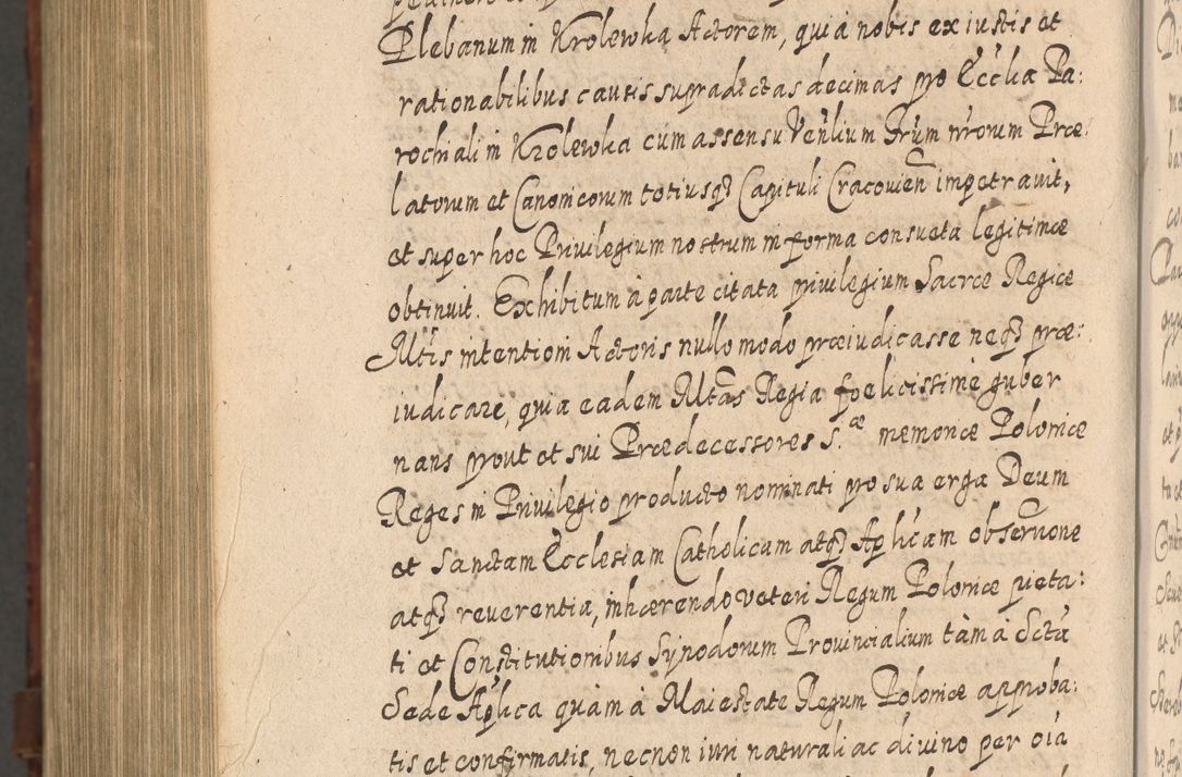 Zdjęcie nr 1491 dla obiektu archiwalnego: Acta actorum, causarum spiritualium, civilium, criminalium, obligationum, quietationum, inscpritionum, cessionum, decimarum, testamentorum R. D. Martini Szyszkowski, episcopi Cracoviensis, ducis Severiensis in annis 1620 - 1623. Tomus secundus.