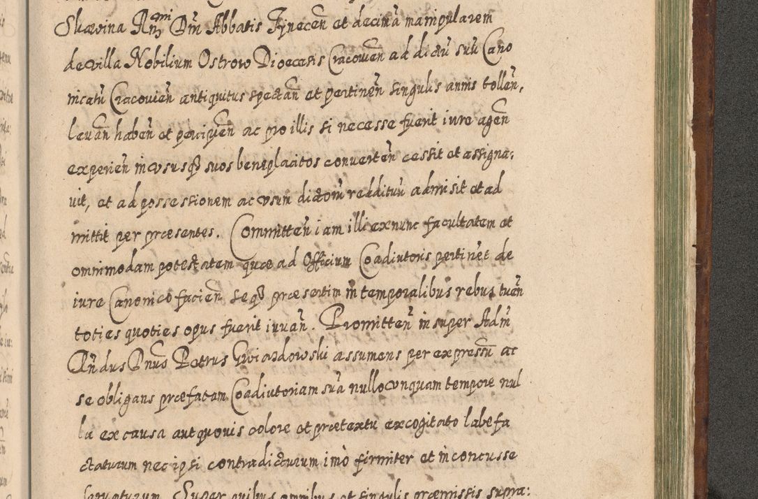 Zdjęcie nr 1446 dla obiektu archiwalnego: Acta actorum, causarum spiritualium, civilium, criminalium, obligationum, quietationum, inscpritionum, cessionum, decimarum, testamentorum R. D. Martini Szyszkowski, episcopi Cracoviensis, ducis Severiensis in annis 1620 - 1623. Tomus secundus.