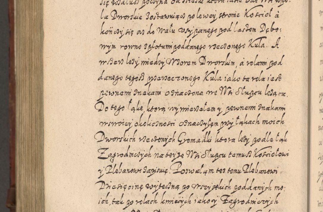Zdjęcie nr 1623 dla obiektu archiwalnego: Acta actorum, causarum spiritualium, civilium, criminalium, obligationum, quietationum, inscpritionum, cessionum, decimarum, testamentorum R. D. Martini Szyszkowski, episcopi Cracoviensis, ducis Severiensis in annis 1620 - 1623. Tomus secundus.