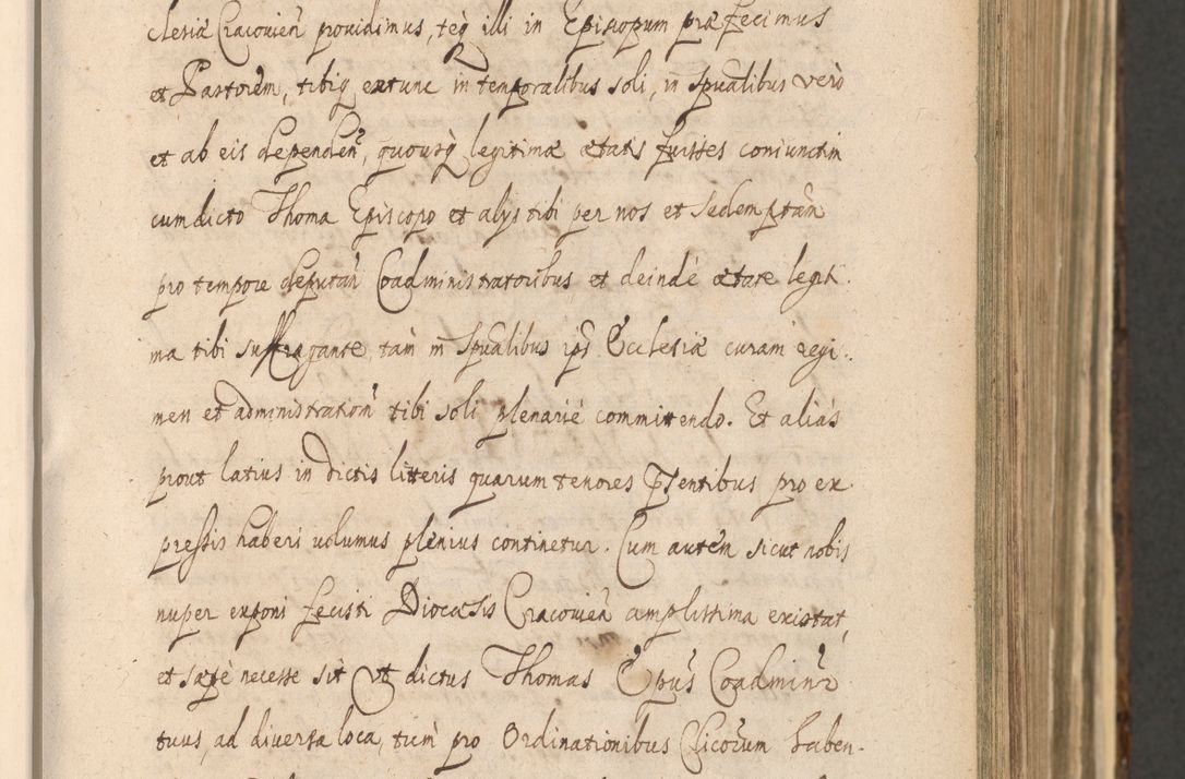 Zdjęcie nr 209 dla obiektu archiwalnego: Acta actorum, institutionum, resignationum, provisionum, decretorum, sententiarum, inscriptionum, testamentorum, confirmationum, ingrossationum, obligationum, quietationum, constitutionum R. D. Andreae Szołdrski, episcopi Kijoviensis, Gnesnensis et Posnaniensis praepositi, cantoris Cracoviensis, Vladislaviensis canonici, R. S. M. secretarii, episcopatus Cracoviensis in spiritualibus er temporalibus deputati anno 1633, 1634 et 1635