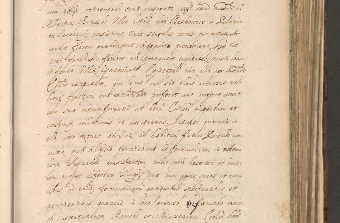 Zdjęcie nr 163 dla obiektu archiwalnego: Acta actorum, institutionum, resignationum, provisionum, decretorum, sententiarum, inscriptionum, testamentorum, confirmationum, ingrossationum, obligationum, quietationum, constitutionum R. D. Andreae Szołdrski, episcopi Kijoviensis, Gnesnensis et Posnaniensis praepositi, cantoris Cracoviensis, Vladislaviensis canonici, R. S. M. secretarii, episcopatus Cracoviensis in spiritualibus er temporalibus deputati anno 1633, 1634 et 1635