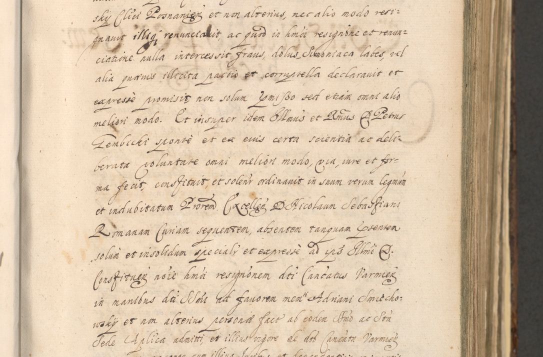 Zdjęcie nr 133 dla obiektu archiwalnego: Acta actorum, institutionum, resignationum, provisionum, decretorum, sententiarum, inscriptionum, testamentorum, confirmationum, ingrossationum, obligationum, quietationum, constitutionum R. D. Andreae Szołdrski, episcopi Kijoviensis, Gnesnensis et Posnaniensis praepositi, cantoris Cracoviensis, Vladislaviensis canonici, R. S. M. secretarii, episcopatus Cracoviensis in spiritualibus er temporalibus deputati anno 1633, 1634 et 1635