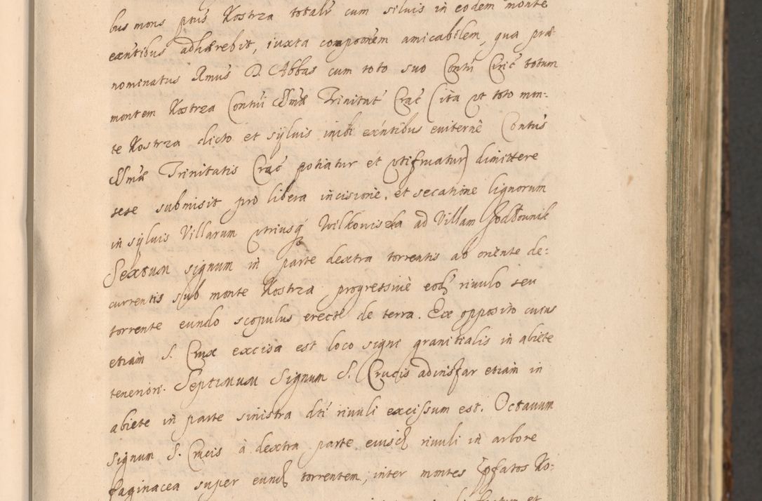 Zdjęcie nr 85 dla obiektu archiwalnego: Acta actorum, institutionum, resignationum, provisionum, decretorum, sententiarum, inscriptionum, testamentorum, confirmationum, ingrossationum, obligationum, quietationum, constitutionum R. D. Andreae Szołdrski, episcopi Kijoviensis, Gnesnensis et Posnaniensis praepositi, cantoris Cracoviensis, Vladislaviensis canonici, R. S. M. secretarii, episcopatus Cracoviensis in spiritualibus er temporalibus deputati anno 1633, 1634 et 1635