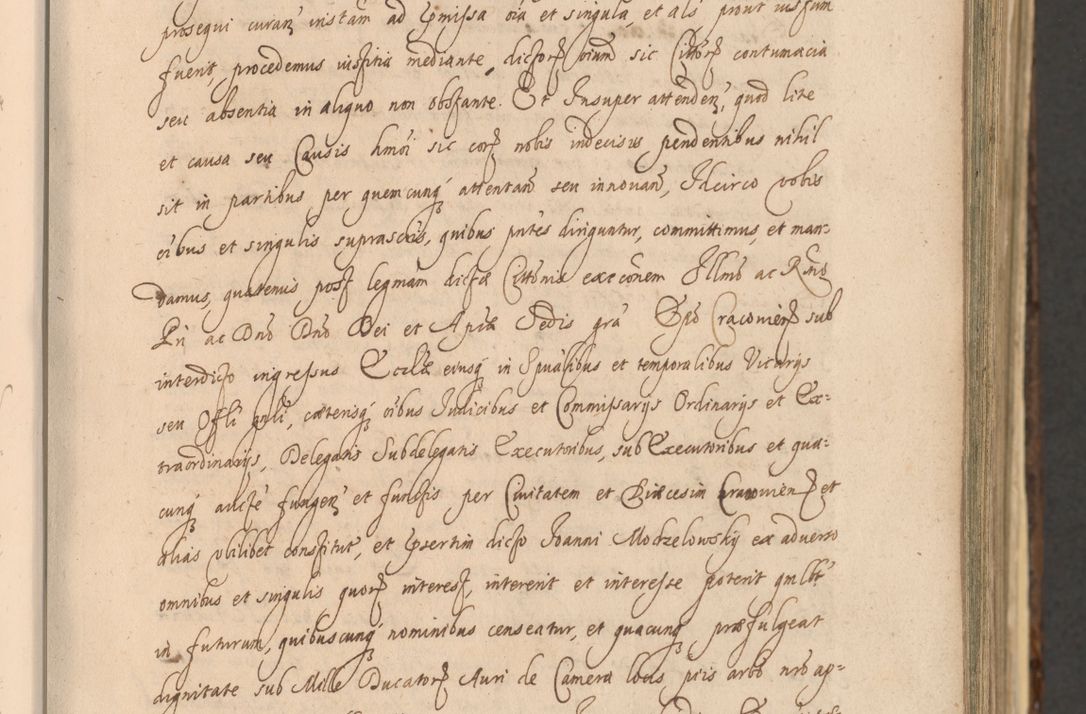 Zdjęcie nr 51 dla obiektu archiwalnego: Acta actorum, institutionum, resignationum, provisionum, decretorum, sententiarum, inscriptionum, testamentorum, confirmationum, ingrossationum, obligationum, quietationum, constitutionum R. D. Andreae Szołdrski, episcopi Kijoviensis, Gnesnensis et Posnaniensis praepositi, cantoris Cracoviensis, Vladislaviensis canonici, R. S. M. secretarii, episcopatus Cracoviensis in spiritualibus er temporalibus deputati anno 1633, 1634 et 1635