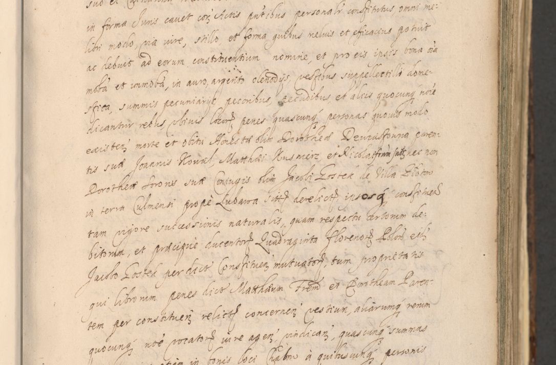 Zdjęcie nr 25 dla obiektu archiwalnego: Acta actorum, institutionum, resignationum, provisionum, decretorum, sententiarum, inscriptionum, testamentorum, confirmationum, ingrossationum, obligationum, quietationum, constitutionum R. D. Andreae Szołdrski, episcopi Kijoviensis, Gnesnensis et Posnaniensis praepositi, cantoris Cracoviensis, Vladislaviensis canonici, R. S. M. secretarii, episcopatus Cracoviensis in spiritualibus er temporalibus deputati anno 1633, 1634 et 1635