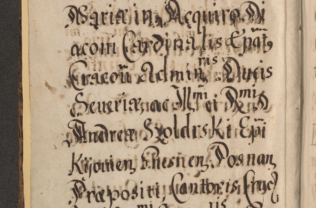 Zdjęcie nr 14 dla obiektu archiwalnego: Acta actorum, institutionum, resignationum, provisionum, decretorum, sententiarum, inscriptionum, testamentorum, confirmationum, ingrossationum, obligationum, quietationum, constitutionum R. D. Andreae Szołdrski, episcopi Kijoviensis, Gnesnensis et Posnaniensis praepositi, cantoris Cracoviensis, Vladislaviensis canonici, R. S. M. secretarii, episcopatus Cracoviensis in spiritualibus er temporalibus deputati anno 1633, 1634 et 1635
