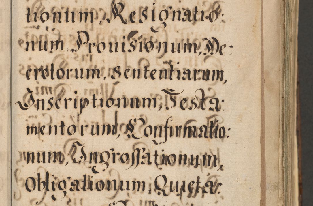 Zdjęcie nr 13 dla obiektu archiwalnego: Acta actorum, institutionum, resignationum, provisionum, decretorum, sententiarum, inscriptionum, testamentorum, confirmationum, ingrossationum, obligationum, quietationum, constitutionum R. D. Andreae Szołdrski, episcopi Kijoviensis, Gnesnensis et Posnaniensis praepositi, cantoris Cracoviensis, Vladislaviensis canonici, R. S. M. secretarii, episcopatus Cracoviensis in spiritualibus er temporalibus deputati anno 1633, 1634 et 1635