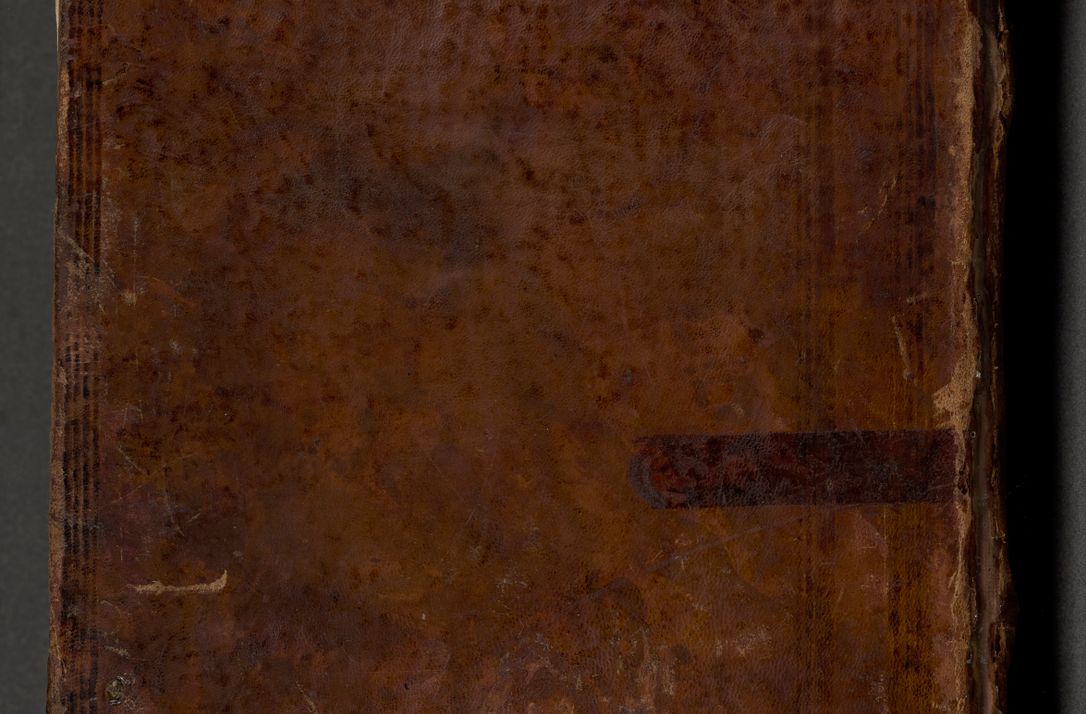 Zdjęcie nr 2 dla obiektu archiwalnego: Acta actorum, institutionum, resignationum, provisionum, decretorum, sententiarum, inscriptionum, testamentorum, confirmationum, ingrossationum, obligationum, quietationum, constitutionum R. D. Andreae Szołdrski, episcopi Kijoviensis, Gnesnensis et Posnaniensis praepositi, cantoris Cracoviensis, Vladislaviensis canonici, R. S. M. secretarii, episcopatus Cracoviensis in spiritualibus er temporalibus deputati anno 1633, 1634 et 1635