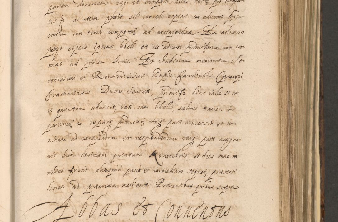 Zdjęcie nr 397 dla obiektu archiwalnego: Acta actorum, institutionum, resignationum, provisionum, decretorum, sententiarum, inscriptionum, testamentorum, confirmationum, ingrossationum, obligationum, quietationum, constitutionum R. D. Andreae Szołdrski, episcopi Kijoviensis, Gnesnensis et Posnaniensis praepositi, cantoris Cracoviensis, Vladislaviensis canonici, R. S. M. secretarii, episcopatus Cracoviensis in spiritualibus er temporalibus deputati anno 1633, 1634 et 1635