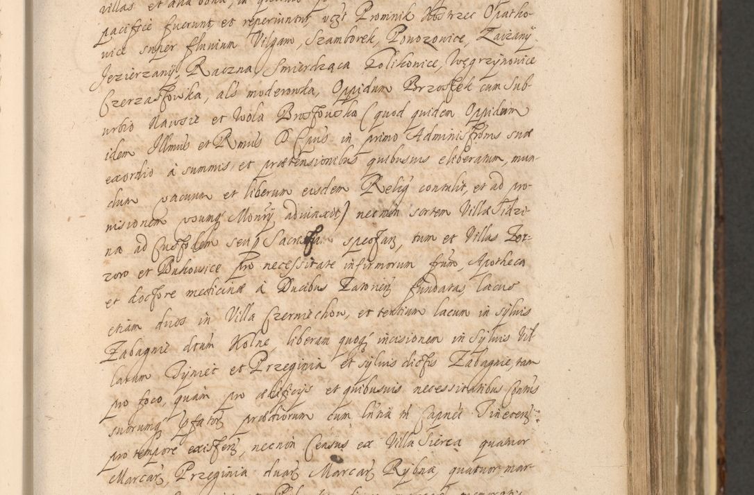 Zdjęcie nr 389 dla obiektu archiwalnego: Acta actorum, institutionum, resignationum, provisionum, decretorum, sententiarum, inscriptionum, testamentorum, confirmationum, ingrossationum, obligationum, quietationum, constitutionum R. D. Andreae Szołdrski, episcopi Kijoviensis, Gnesnensis et Posnaniensis praepositi, cantoris Cracoviensis, Vladislaviensis canonici, R. S. M. secretarii, episcopatus Cracoviensis in spiritualibus er temporalibus deputati anno 1633, 1634 et 1635