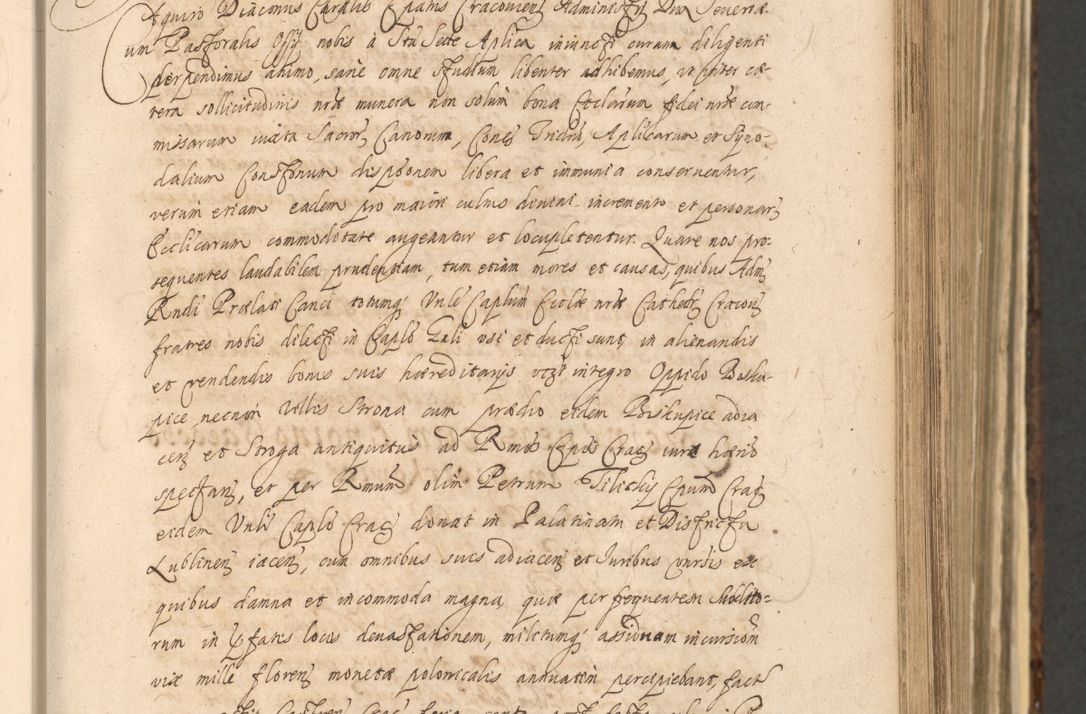 Zdjęcie nr 391 dla obiektu archiwalnego: Acta actorum, institutionum, resignationum, provisionum, decretorum, sententiarum, inscriptionum, testamentorum, confirmationum, ingrossationum, obligationum, quietationum, constitutionum R. D. Andreae Szołdrski, episcopi Kijoviensis, Gnesnensis et Posnaniensis praepositi, cantoris Cracoviensis, Vladislaviensis canonici, R. S. M. secretarii, episcopatus Cracoviensis in spiritualibus er temporalibus deputati anno 1633, 1634 et 1635
