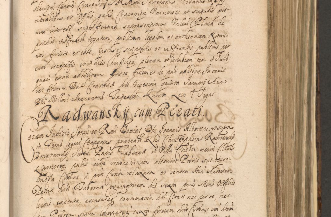 Zdjęcie nr 347 dla obiektu archiwalnego: Acta actorum, institutionum, resignationum, provisionum, decretorum, sententiarum, inscriptionum, testamentorum, confirmationum, ingrossationum, obligationum, quietationum, constitutionum R. D. Andreae Szołdrski, episcopi Kijoviensis, Gnesnensis et Posnaniensis praepositi, cantoris Cracoviensis, Vladislaviensis canonici, R. S. M. secretarii, episcopatus Cracoviensis in spiritualibus er temporalibus deputati anno 1633, 1634 et 1635