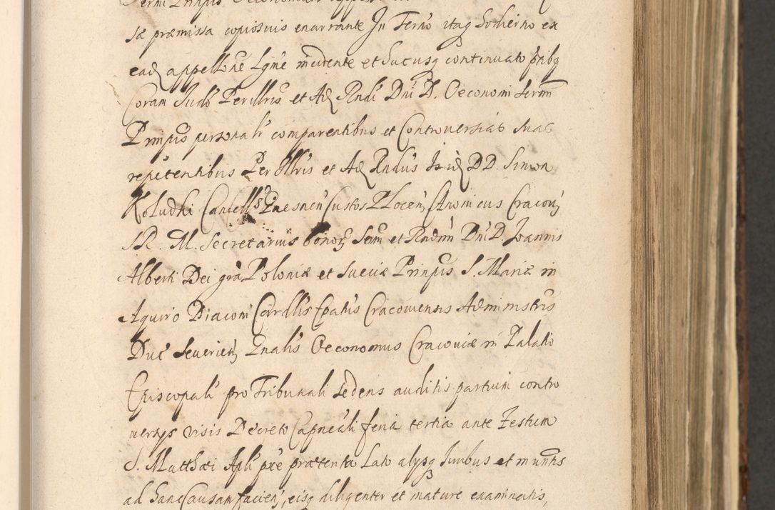 Zdjęcie nr 335 dla obiektu archiwalnego: Acta actorum, institutionum, resignationum, provisionum, decretorum, sententiarum, inscriptionum, testamentorum, confirmationum, ingrossationum, obligationum, quietationum, constitutionum R. D. Andreae Szołdrski, episcopi Kijoviensis, Gnesnensis et Posnaniensis praepositi, cantoris Cracoviensis, Vladislaviensis canonici, R. S. M. secretarii, episcopatus Cracoviensis in spiritualibus er temporalibus deputati anno 1633, 1634 et 1635