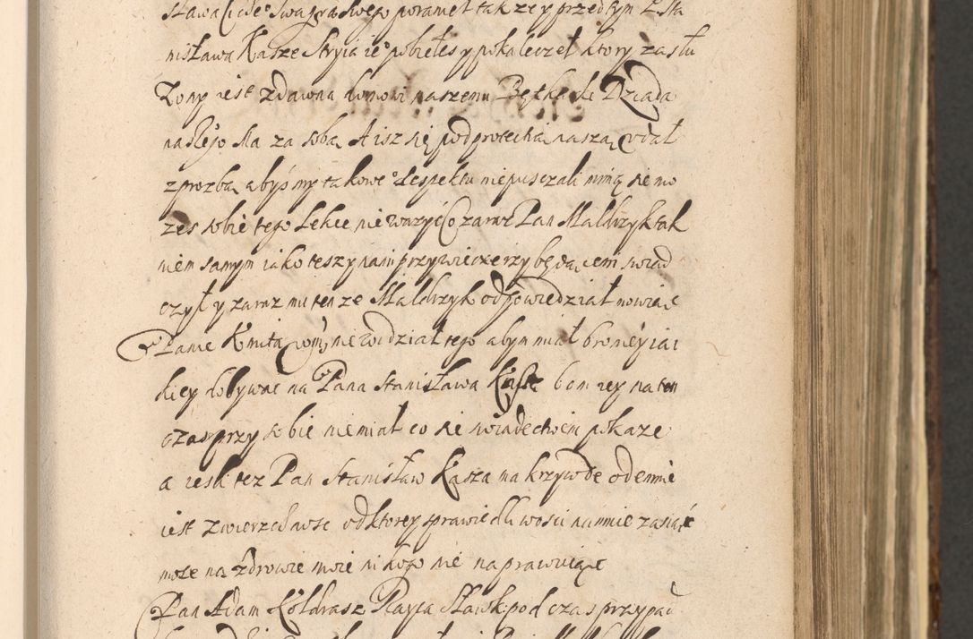 Zdjęcie nr 331 dla obiektu archiwalnego: Acta actorum, institutionum, resignationum, provisionum, decretorum, sententiarum, inscriptionum, testamentorum, confirmationum, ingrossationum, obligationum, quietationum, constitutionum R. D. Andreae Szołdrski, episcopi Kijoviensis, Gnesnensis et Posnaniensis praepositi, cantoris Cracoviensis, Vladislaviensis canonici, R. S. M. secretarii, episcopatus Cracoviensis in spiritualibus er temporalibus deputati anno 1633, 1634 et 1635